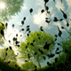 Illustration for article titled These Are the Most Spectacular Nature Photos of the Year